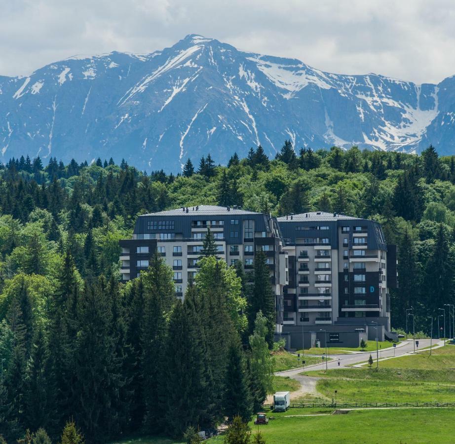 Twin Studio Silver Mountain Brassópojána Kültér fotó